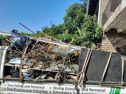 Best Basement Cleanout  in Portageville, MO